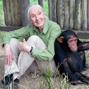 The Jane Goodall Institute
