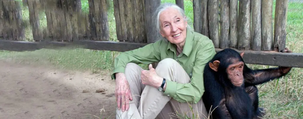 A woman sitting on the ground in front of a wooden fence.