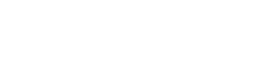 A green banner with the words " the ailes foundation ".